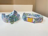 Paisley Print Dog Collar and Matching Leash Set with Metal Hardware, Walking Leash for Puppy, Pet Necklace, 5 Foot Leash, Gift for Pet Owner