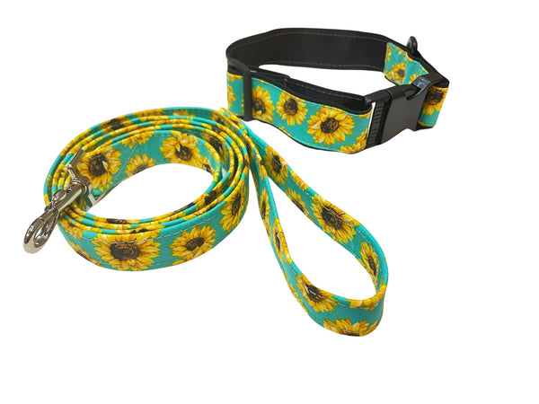 Cute Sunflowers Matching Dog Collar and Leash Set, Walking Leash for Puppy, 2 Collar Sizes, 5 Foot Leash, Gift for New Pet Owner